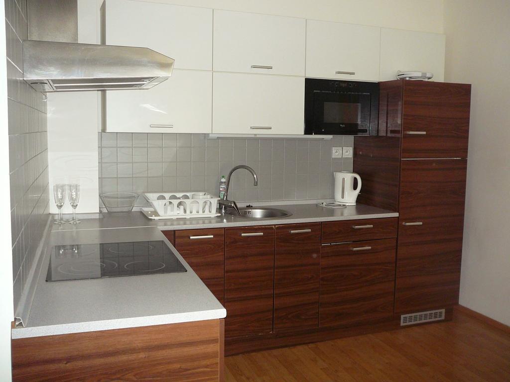 Lion Apartments Medena, Big Size, High Ceilings Pressburg Exterior foto